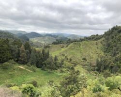 Part of the Hillary Hope Reserve established in 2015