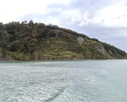 Motukokako Scenic Reserve