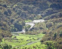 Toreparu is one of Whaingaroa's 15 large waterfalls