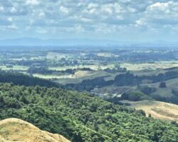 On the Karamu Walkway there are views to Waikato, Pirongia and Whaingaroa