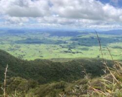 View from Mount Karioi