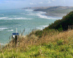Ocean view from Wainui Reserve