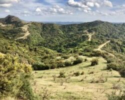 View from Te Akatea Pongawhakatiki