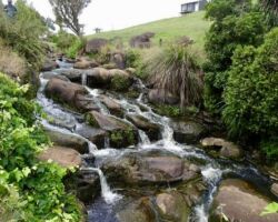 Waterfall near Te Mata
