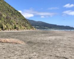Ngarunui Beach, Raglan