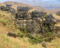 Limestone outcrop on Karamu Walkaway