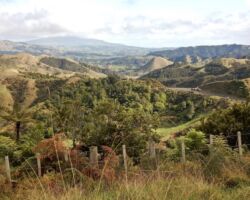 View of Mount Karioi and SH 23 from Karamu Walkway