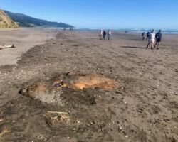 Elephant Rock covered with sand
