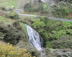 Waterfall on Te Akau Wharf Road