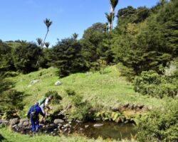 Rushing stream at Wild Coast Ruapuke