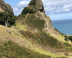 Landmark in Te Toto Gorge