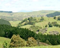 Views from Matira Farm, Waikato District