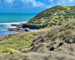 Te Kaha (Mussel Rock)