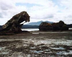 120215AoteaHarbour