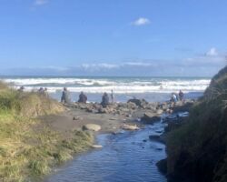 Ruapuke Beach