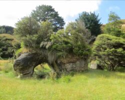 Natural arch in the valley below Bridal Veil Falls on the Pakoka River Walk 140821pakokariver