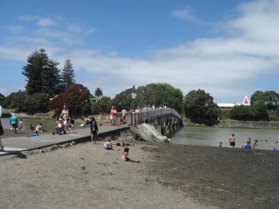 101001kopuafootbridgeimg_5228