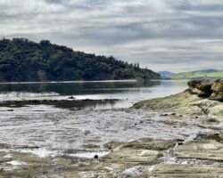 Whaingaroa Harbour view from Lorenzen Bay beach next to the Doughboys