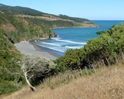 100507fromWainui