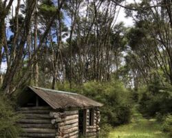 Log Cabin
