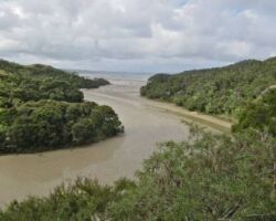 Pakoka estuary in the corner of Aotea Harbour 130306motakotako