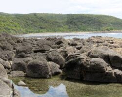 111019WhaleBay